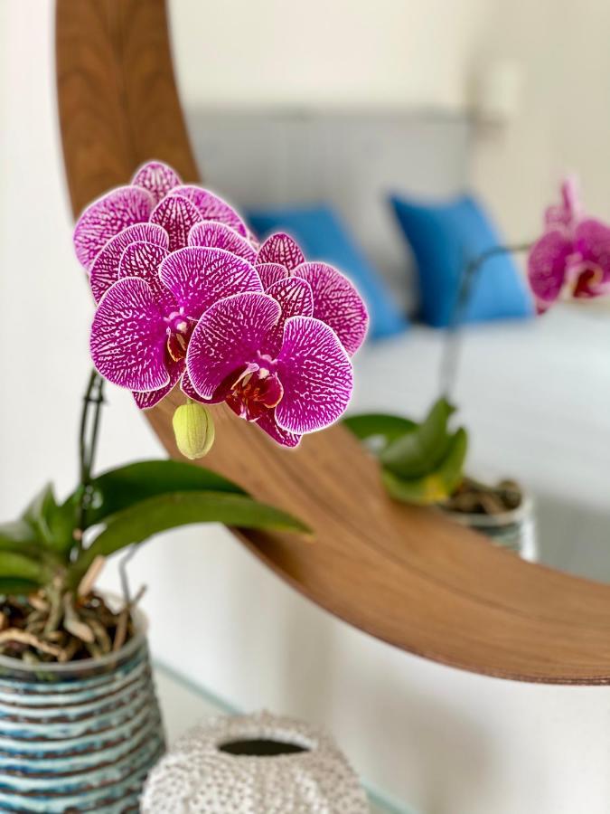 Via Firenze 11 Apartment Follonica Ngoại thất bức ảnh